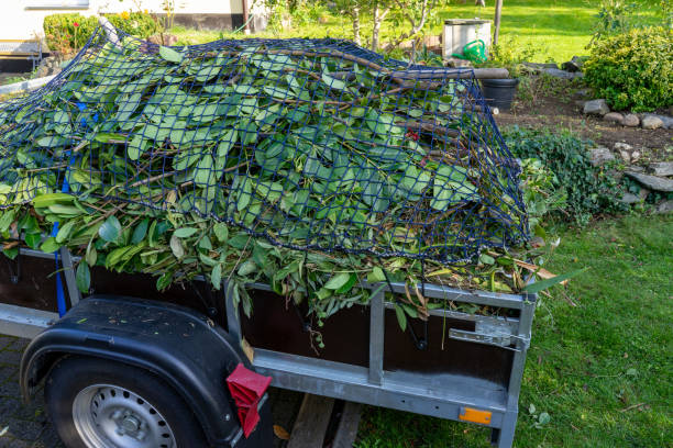 Recycling Services for Junk in Castaic, CA